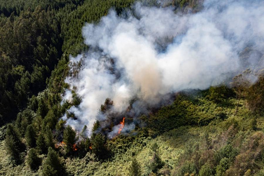 Gustavo Petro declara desastre natural por ola de incendios