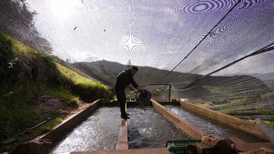 Monitoreo al abastecimiento de alimentos por fenómeno de El Niño