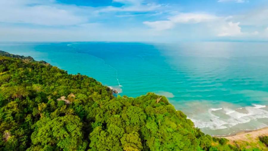 Hist&oacute;rico reconocimiento a Colombia: Unesco declara el Dari&eacute;n Norte Chocoano como Reserva de Bi&oacute;sfera