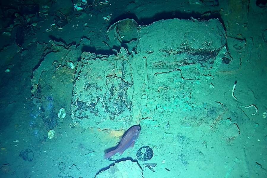 Hallan en Colombia nuevos objetos en primera exploración de galeón español hundido