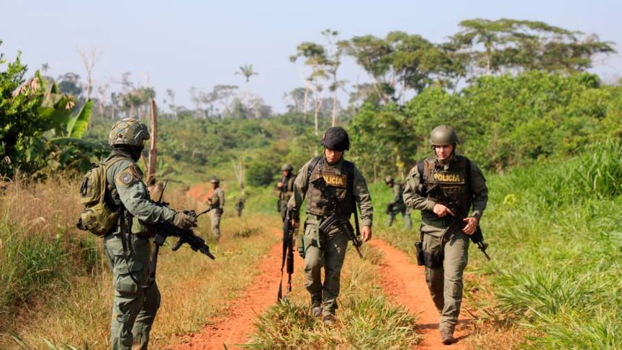 Contra la deforestación: destruidos cinco puentes y cinco vías ilegales en el Parque Nacional Natural Chiribiquete