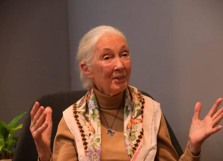 Jane Goodall: la mujer que nunca deja de soñar por un planeta mejor, incluso a los 90 años