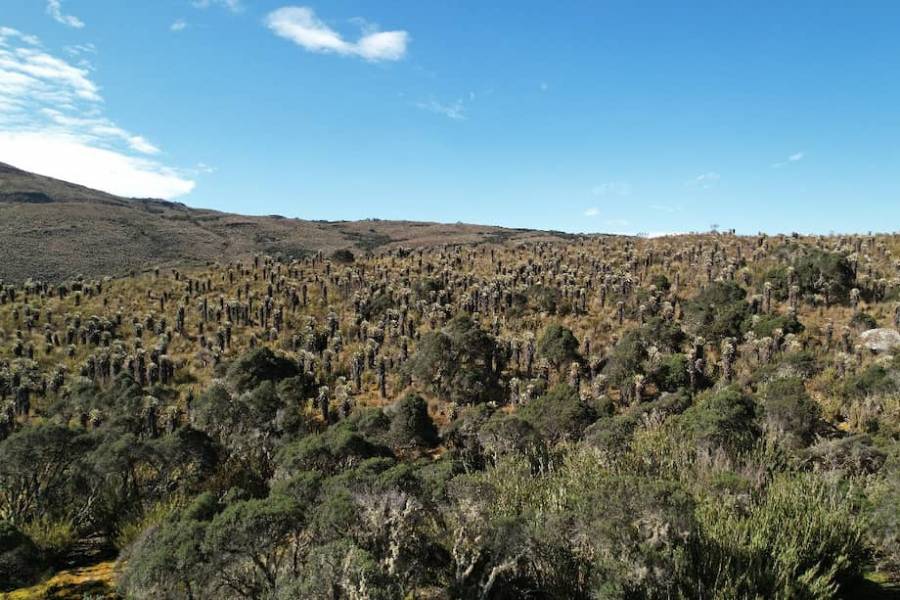 Gobierno Colombiano actualiza reglamento para Zonas de Reserva Campesinas