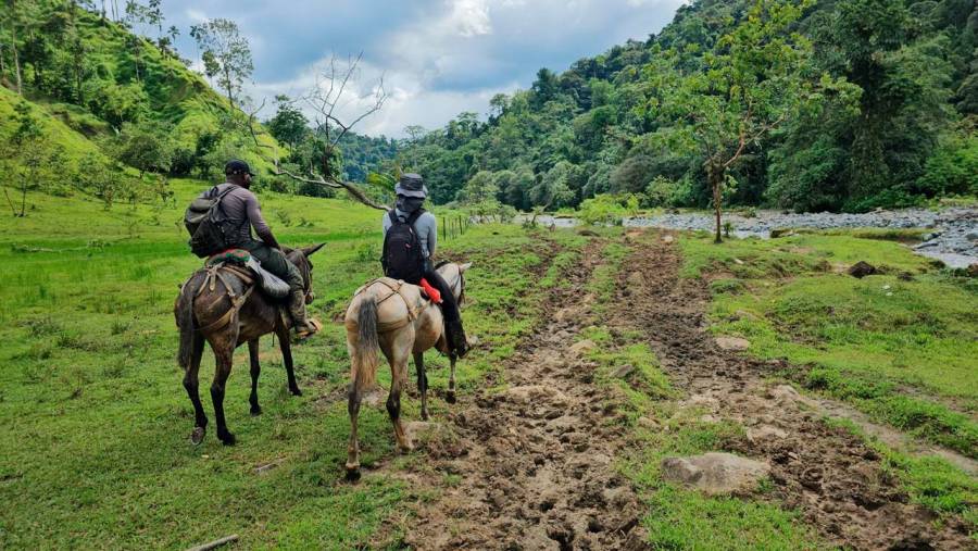 En el mes por la paz, Gobierno entrega 14.616 hectáreas a comunidades étnicas y campesinas