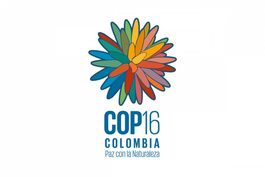 Colombia refuerza seguridad para la COP16 en Cali con 11 mil efectivos