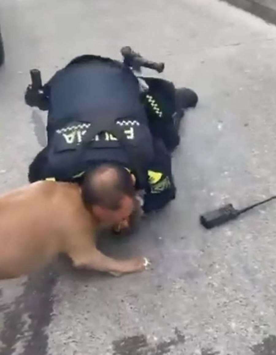 Policía dispara a perro Pitbull en Manizales tras ataque a su compañero