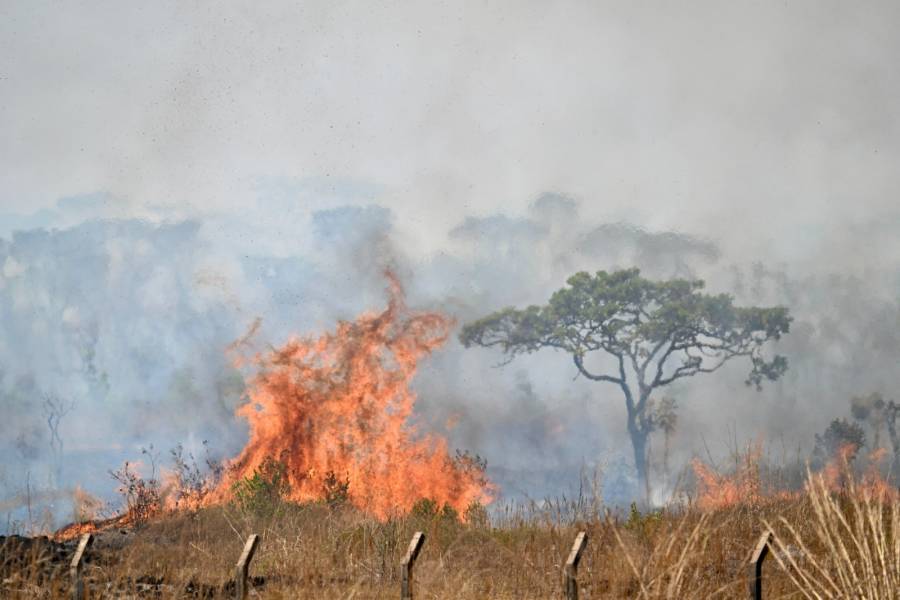Incendios forestales afectan a varios pa&iacute;ses de Am&eacute;rica del sur en medio de sequ&iacute;as