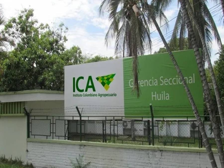 Corte Constitucional protege a funcionario del ICA desvinculado tras concurso de m&eacute;ritos