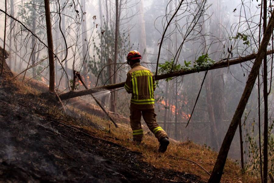 Incendios forestales se extienden a siete departamentos de Colombia