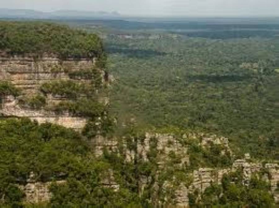 Devastaci&oacute;n ambiental en Chiribiquete: Las FARC abren camino para el narcotr&aacute;fico