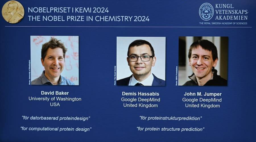 Premio nobel de qu&iacute;mica 2024: Cient&iacute;ficos descifran el c&oacute;digo de las prote&iacute;nas con inteligencia artificial