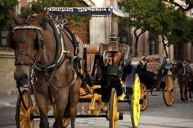 Tribunal ordena protecci&oacute;n para caballos usados en paseos tur&iacute;sticos en Cartagena