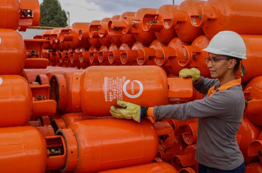 Industrias advierten sobre riesgos en el suministro de gas para 2024 y 2025