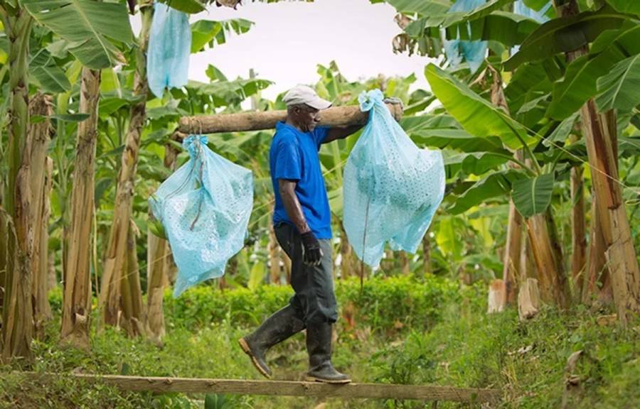 Corte protege derechos de campesino en caso de restitución de tierras en Aracataca