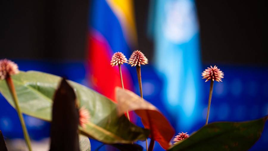 Presidente Petro lidera este domingo la ceremonia de apertura de la COP16 en Cali