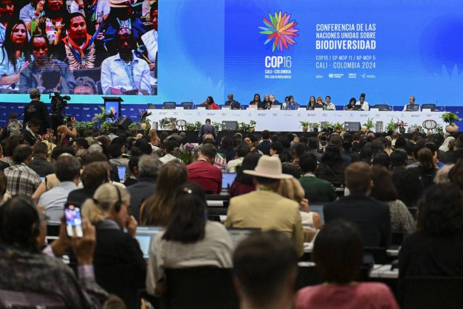 COP16, biodiversidad, comienza oficialmente, Cali, Colombia