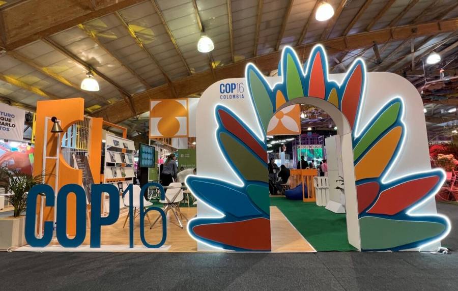 Impacto económico y cultural de la COP16 en Cali alcanza cifras récord