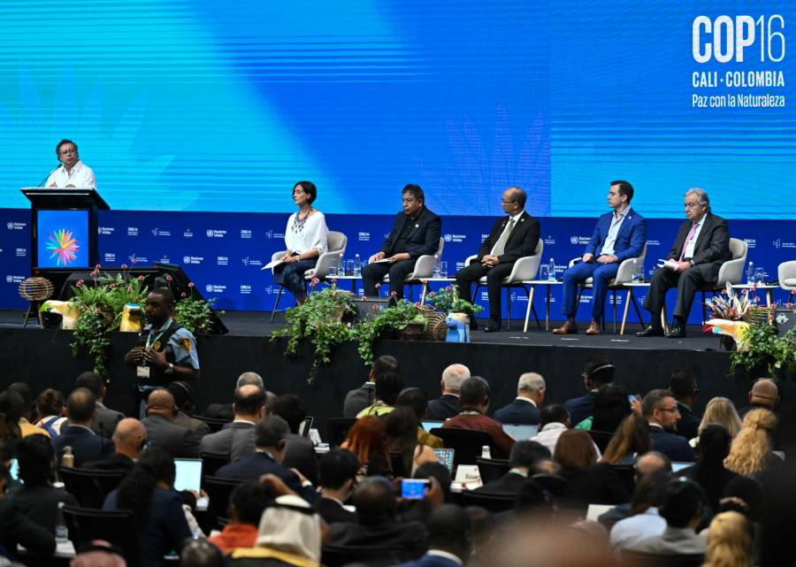 COP16: Acuerdo entre Gobierno y entes internacionales busca combatir efectos ambientales de cultivos ilícitos