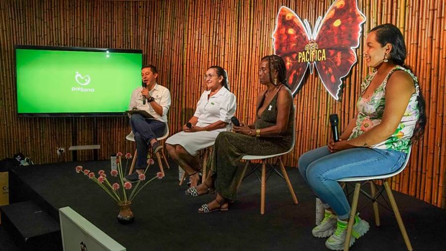 COP16 / Tres mujeres v&iacute;ctimas del conflicto que transforman sus vidas con proyectos de apicultura, manglares e infraestructura vial