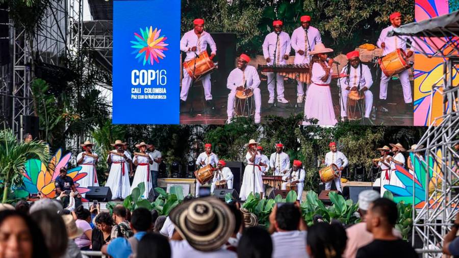 Balance COP16 / La cultura no fue un adorno sino el corazón mismo de la Zona Verde: MinCulturas
