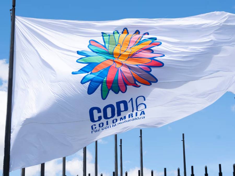 Balance positivo en la protecci&oacute;n de la COP 16 en Cali, seg&uacute;n la Procuradur&iacute;a