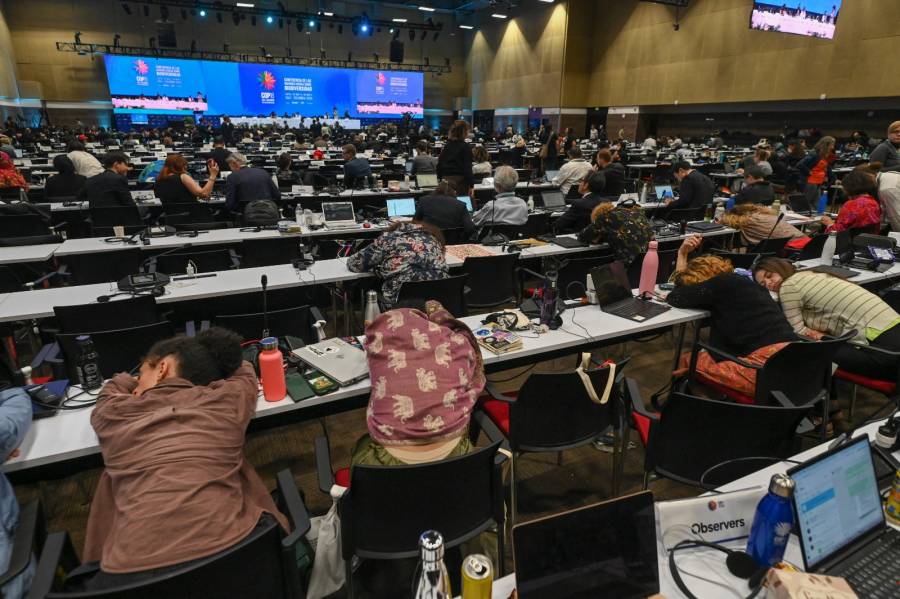 COP16 impulsa el turismo en Cali con cifras r&eacute;cord de pasajeros