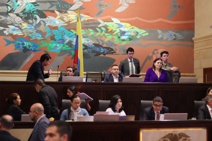 “La reforma pol&iacute;tica fortalece la democracia en el pa&iacute;s”, representante Martha Alfonso
