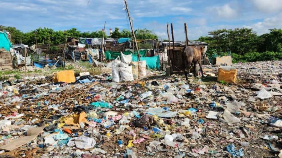 Tribunal ordena cierre de basureros ilegales en Soledad por riesgo ambiental y a&eacute;reo