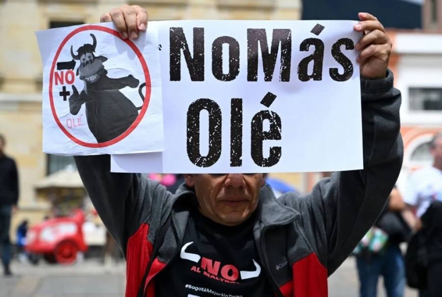 Colombia proh&iacute;be las corridas de toros: ¿Qu&eacute; significa para las ferias de Cali y Manizales?