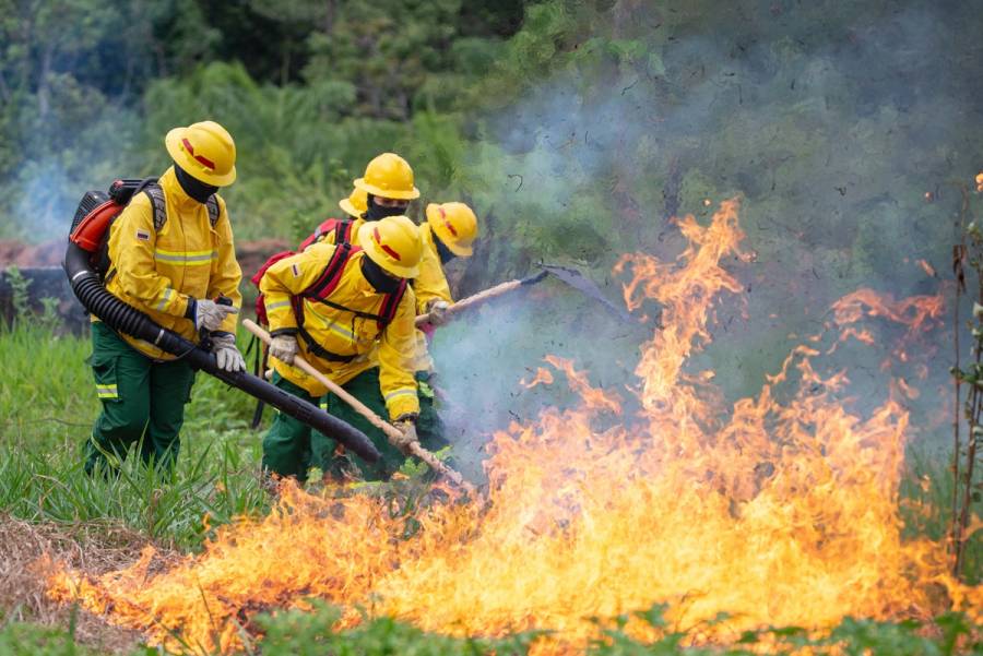 Más de 9,000 emergencias por fenómenos naturales en 2024: incendios forestales lideran