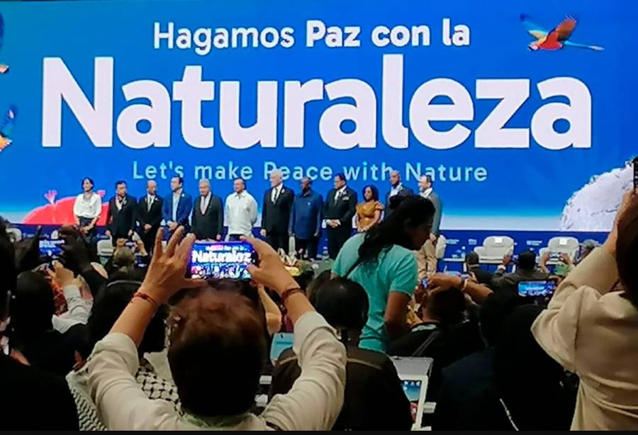 Avances en restauraci&oacute;n, transici&oacute;n energ&eacute;tica y biodiversidad, logros del presidente Petro en 2024