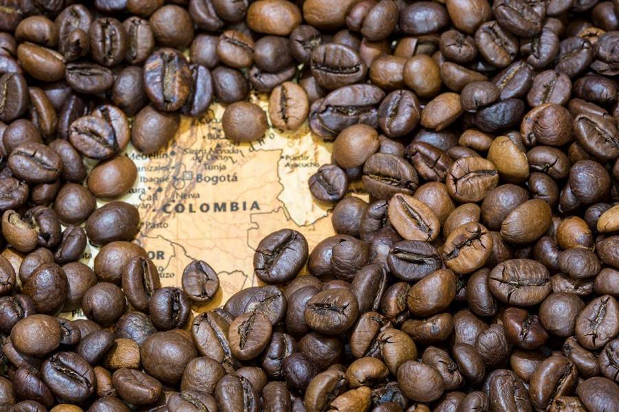 Incremento del precio del café genera retos para el sistema cooperativo cafetero