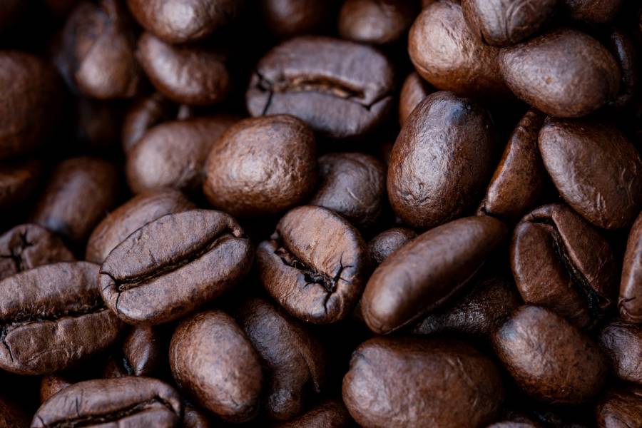 Colombia aument&oacute; un 23% su producci&oacute;n de caf&eacute; en 2024, la mejor cosecha en cinco a&ntilde;os