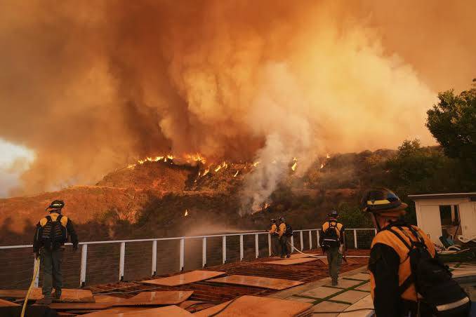 Neurocirujano héroe: 15 años de preparación salvan una calle entera de incendios en Los Ángeles