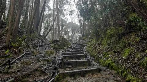 Bogotá cierra senderos ecológicos en los Cerros Orientales para prevenir incendios forestales
