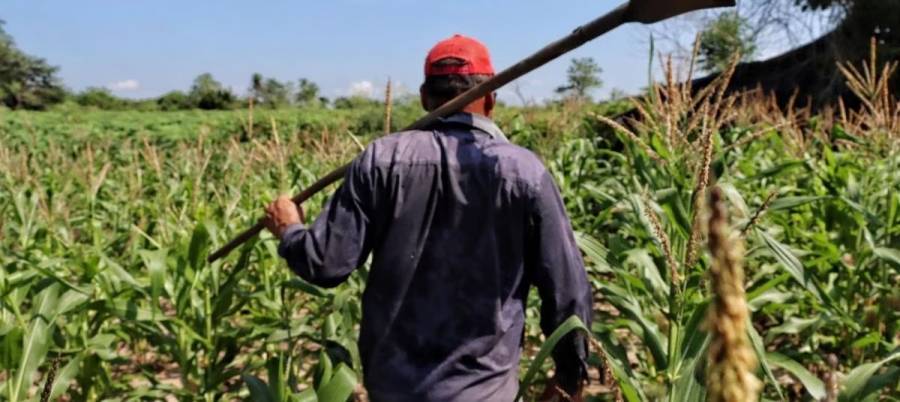 M&aacute;s de 3.000 campesinos del Atl&aacute;ntico se suman a la modernizaci&oacute;n del agro
