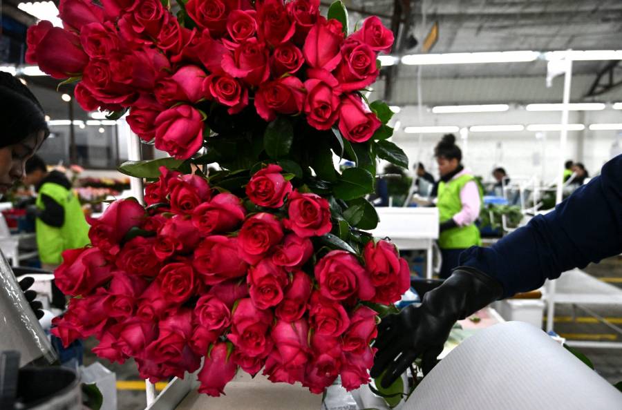 Colombia adorna con flores EEUU mientras sus cultivadores temen aranceles