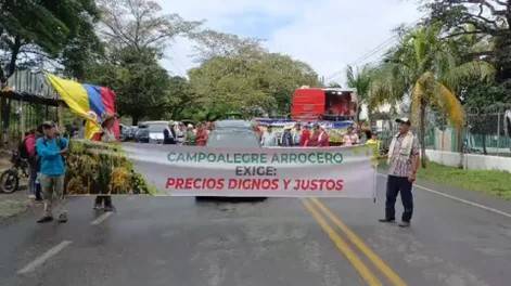 Arroceros de Campoalegre inician paro indefinido por crisis en el sector
