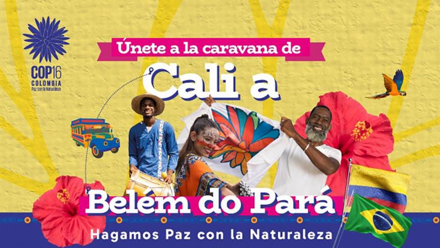 Arranca la Caravana de Cali a Belém con la misión de proteger la biodiversidad y enfrentar la crisis climática