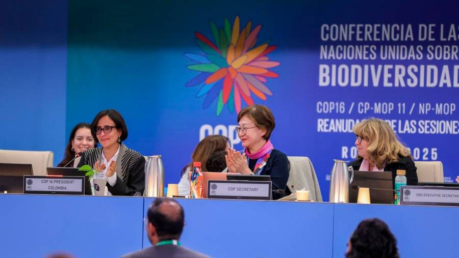 COP16: logro histórico sobre financiamiento y monitoreo de la biodiversidad mundial