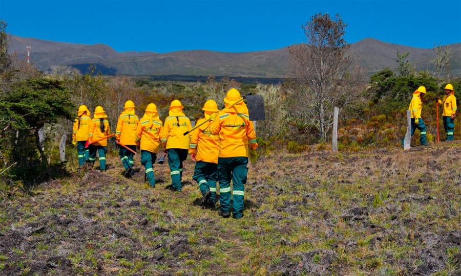 Brigadas comunitarias salvan más de 10,200 hectáreas de ser consumidas por incendios forestales