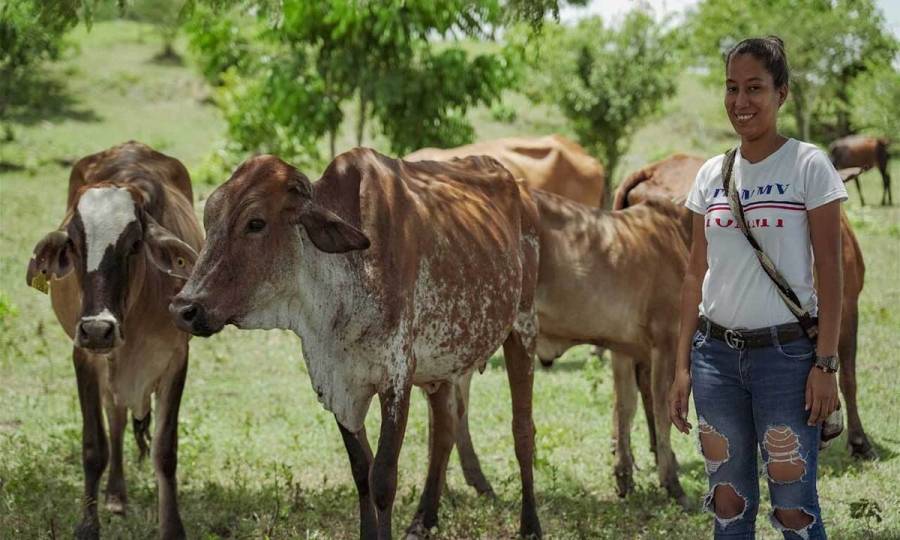 Impulso por $1,600 millones para apoyar proyectos de firmantes de paz en Cauca y Meta