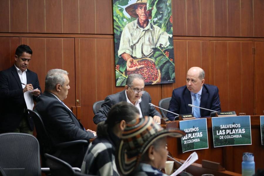 Proyecto para proteger y restaurar las costas avanza en Comisión Quinta del Senado