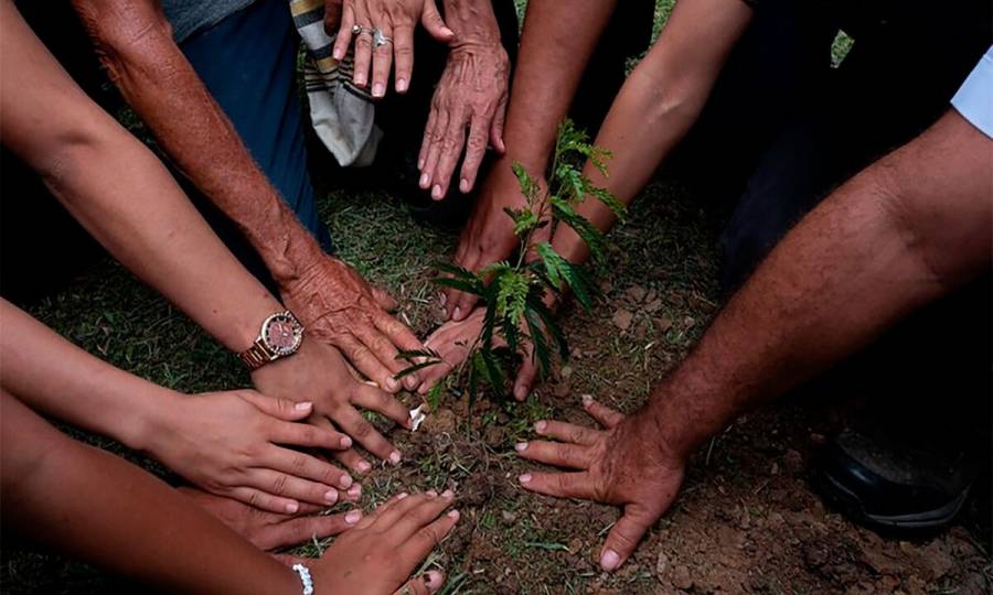 Arranca convocatoria por m&aacute;s de 38 mil mdp para proyectos ambientales en Catatumbo