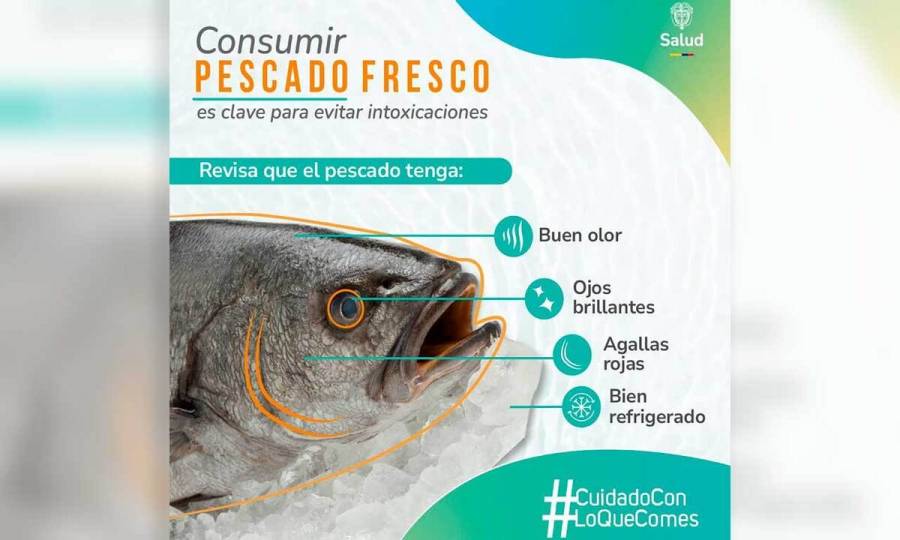 Emiten recomendaciones para consumo seguro de pescado y mariscos en Semana Santa