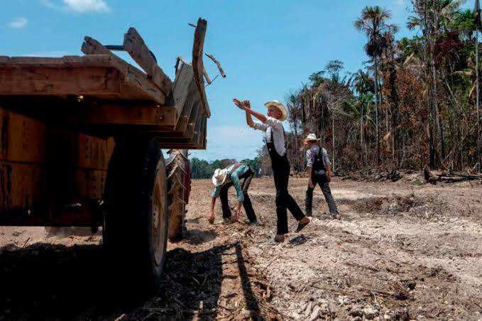 Flechas contra tractores: la expansión menonita aviva la pugna en la Amazonía peruana