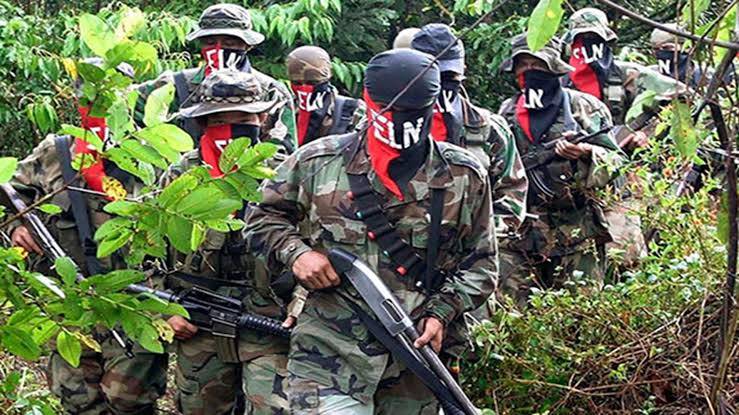 Conflicto guerrillero en frontera de Colombia y Venezuela deja 117 muertos este año
