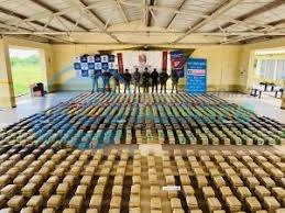 Ejército incauta más de 2,5 toneladas de marihuana en Casanare durante operativo militar