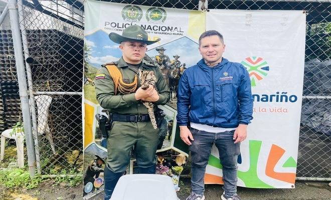 Uniformados lograron salvaguardar la vida de una especie protegida que se encontraba en peligro