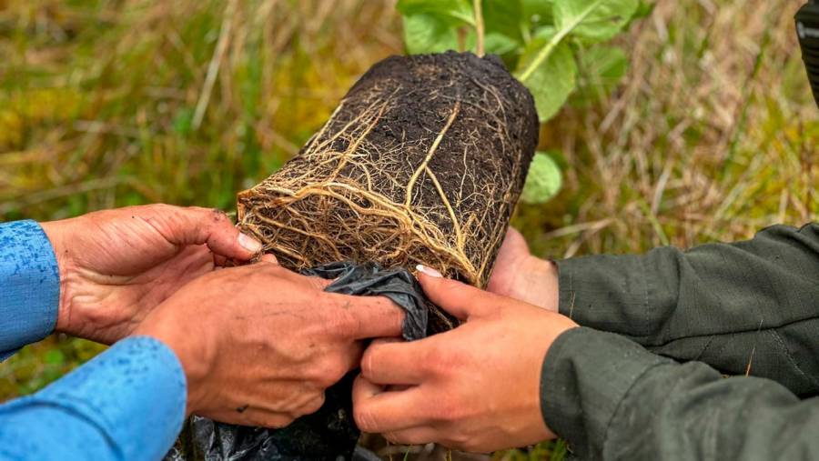 Colombia será epicentro del Día de Lucha contra la Desertificación y la Sequía